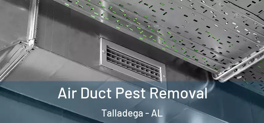  Air Duct Pest Removal Talladega - AL