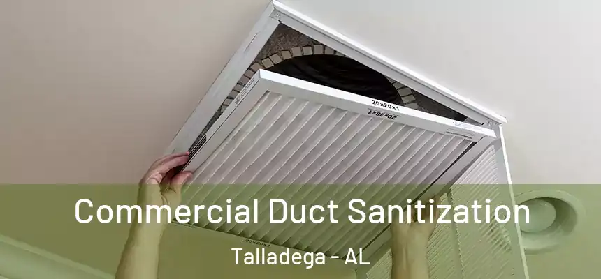  Commercial Duct Sanitization Talladega - AL