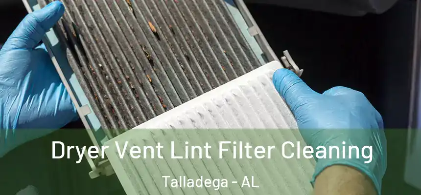  Dryer Vent Lint Filter Cleaning Talladega - AL