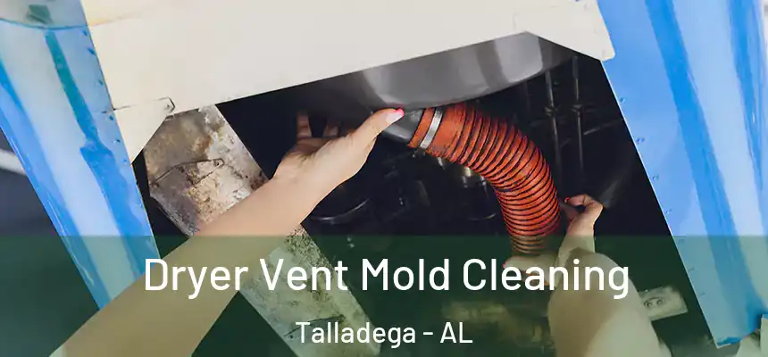  Dryer Vent Mold Cleaning Talladega - AL