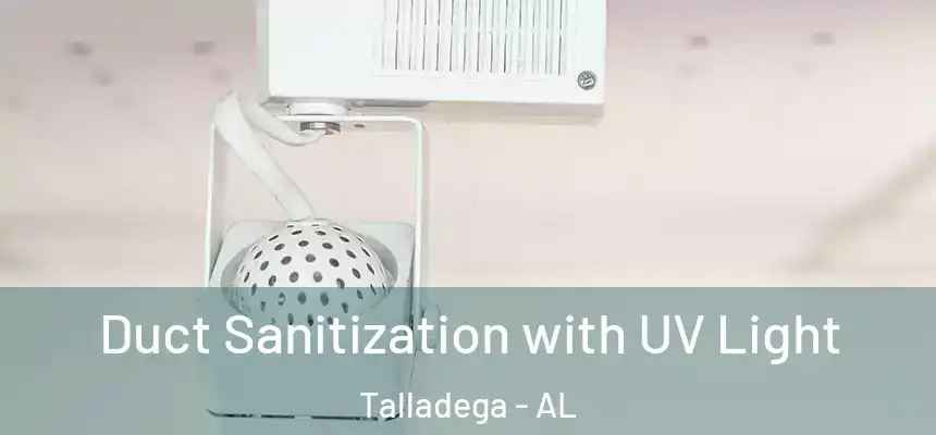  Duct Sanitization with UV Light Talladega - AL