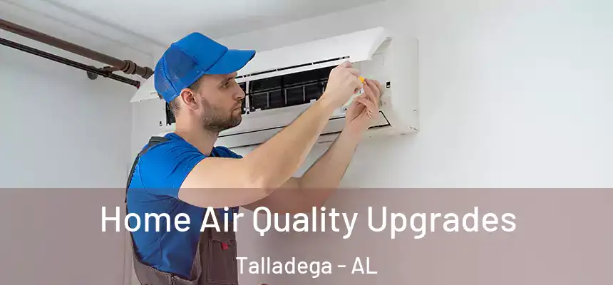  Home Air Quality Upgrades Talladega - AL