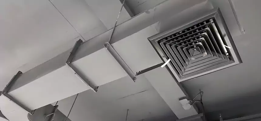 Restorative Allergy Relief Vent Cleaning – Coil, Blower & Housing Detail in Talladega