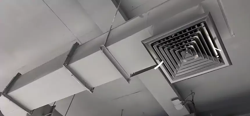 Our Pest Removal From Ducts Services in Talladega, AL