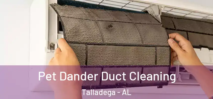  Pet Dander Duct Cleaning Talladega - AL