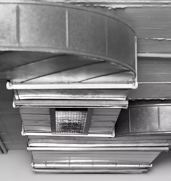 Professional Air Duct Pest Removal in Talladega, AL