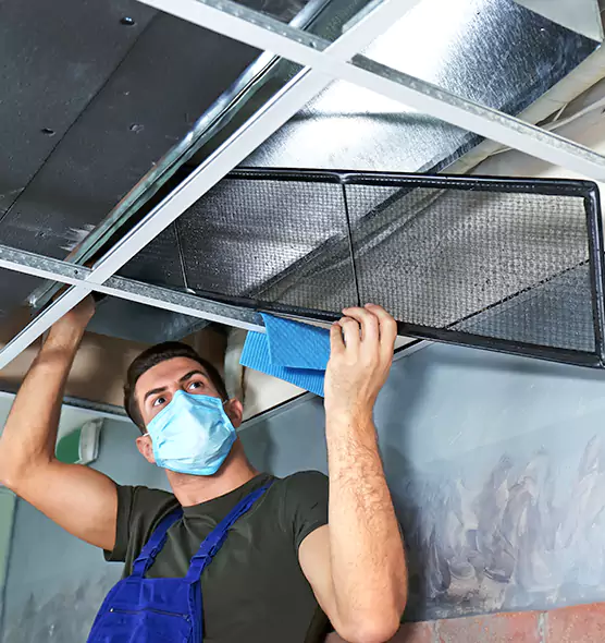 Professional Air Duct Pollen Cleaning in Talladega, AL