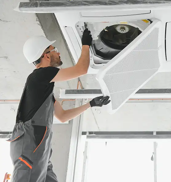 About Air Duct Rodent Removal in Talladega, AL