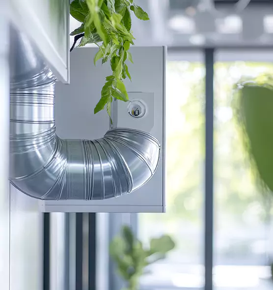 Professional Eco-Friendly Duct Cleaning Services in Talladega, AL