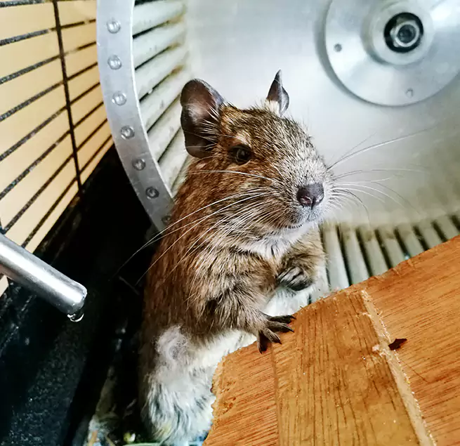 Why Homeowners & Businesses Trust Us Talladega, AL?