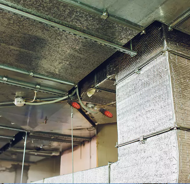 Why Homeowners & Businesses Trust Us Talladega, AL?